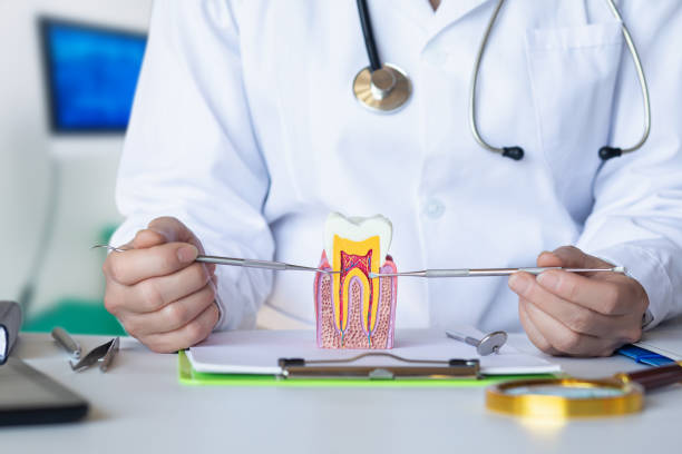Best Weekend Emergency Dentist in Campbellsville, KY
